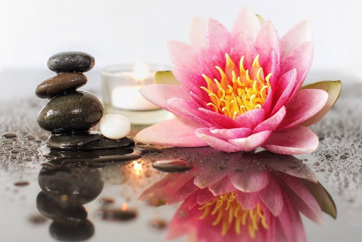 Лотос камни