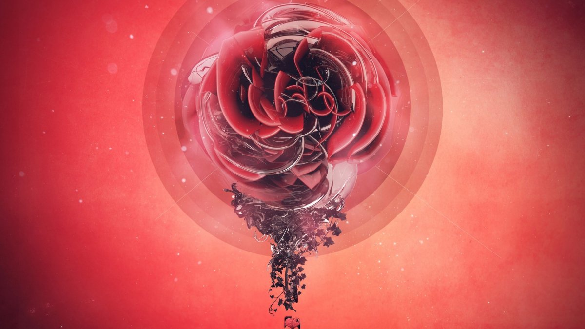 Роза абстракция