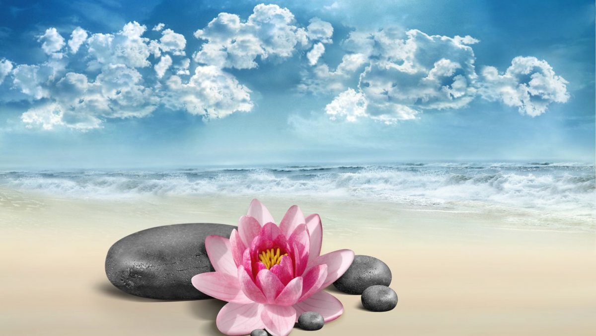 Открытый урок по биологии