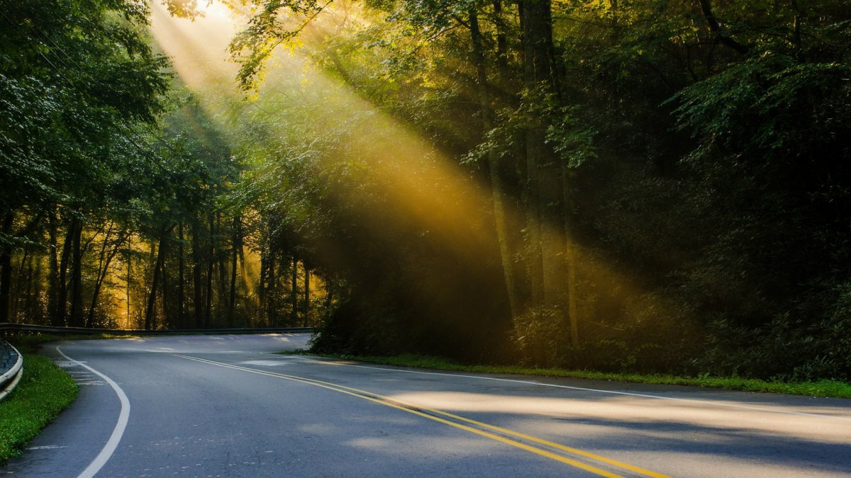 Движущейся фон красивый природа по дороге