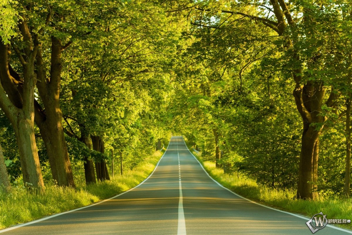 Красивая дорога