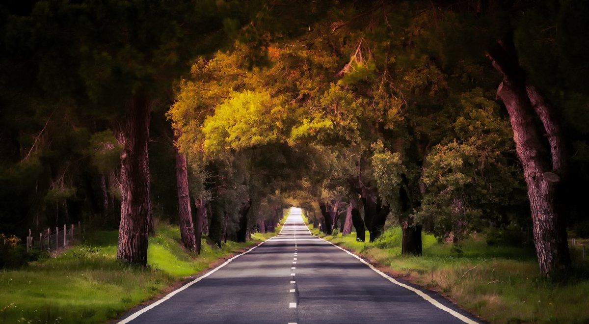 Фотообои на рабочий стол дорога