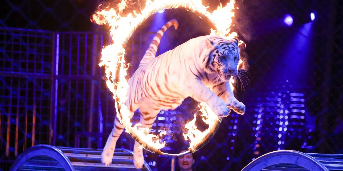 Веселый цирк