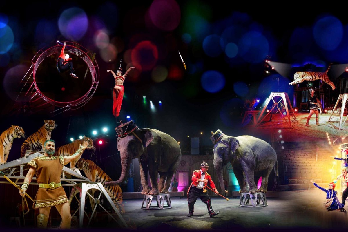 Абстрактные существа фэнтези