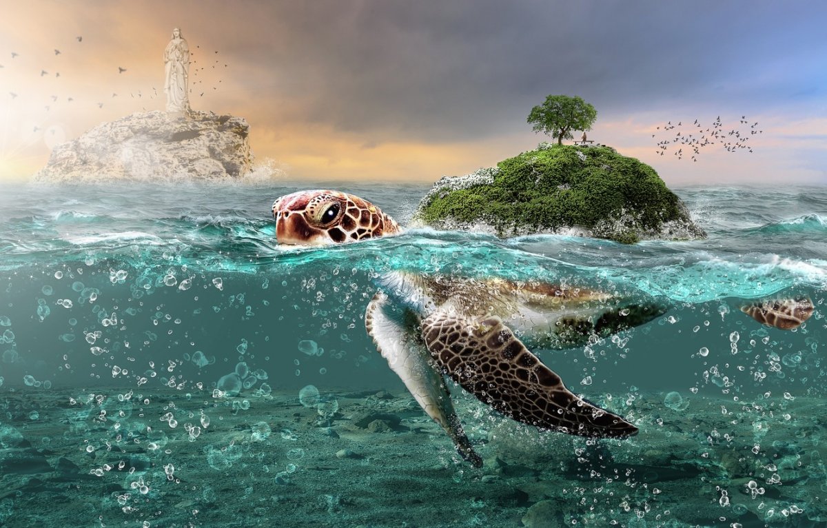 Фэнтези морская черепаха