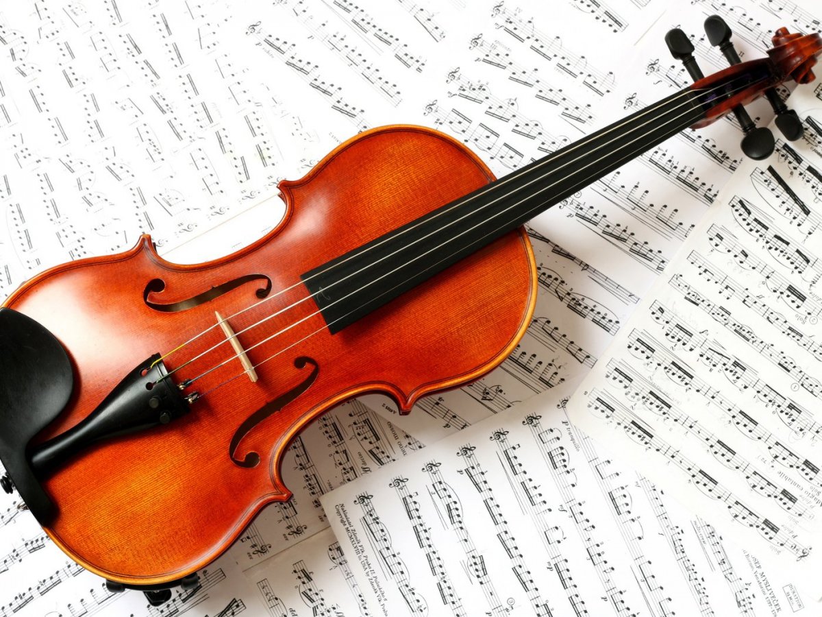 Скрипка музыкальный инструмент