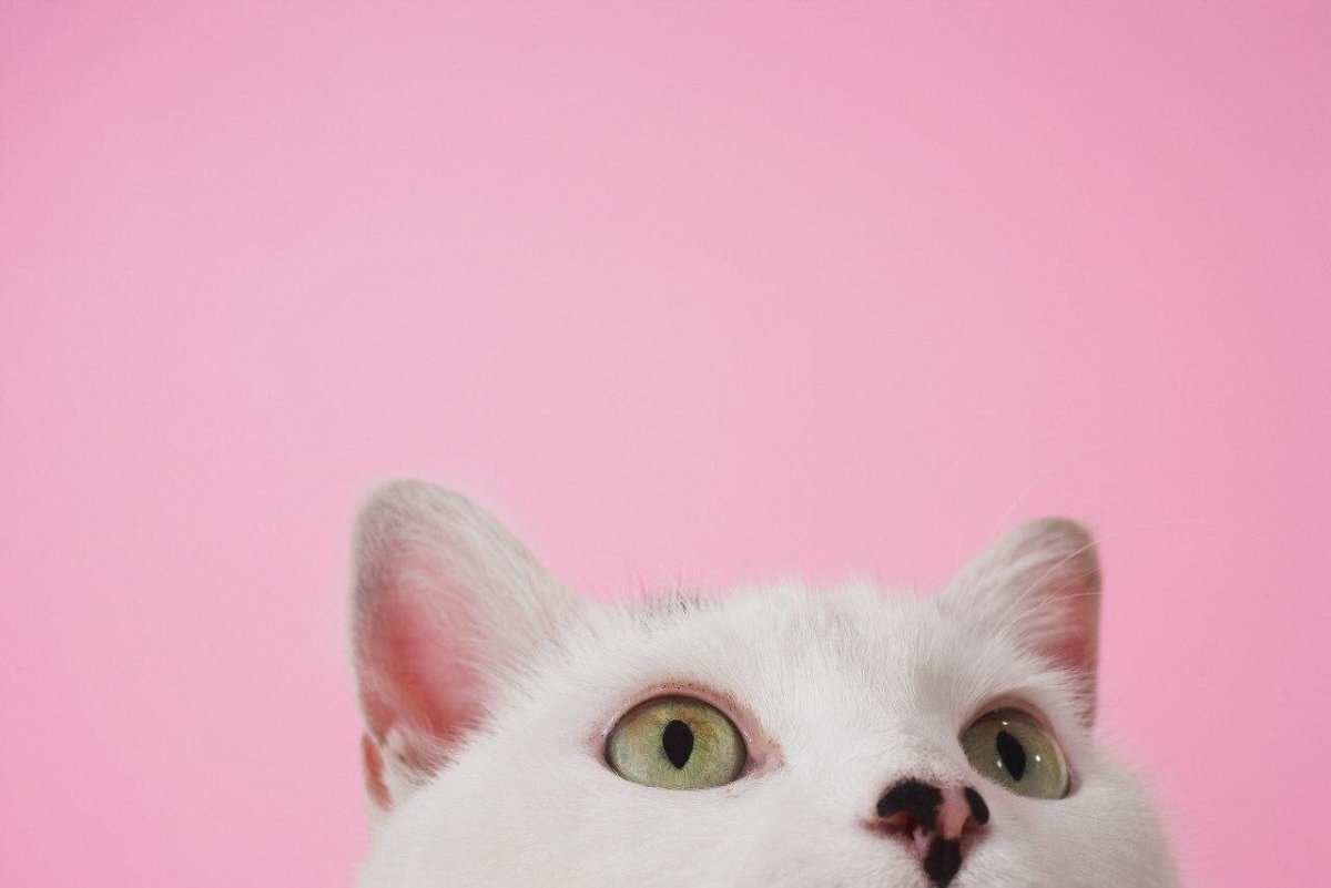 Срочно требуется