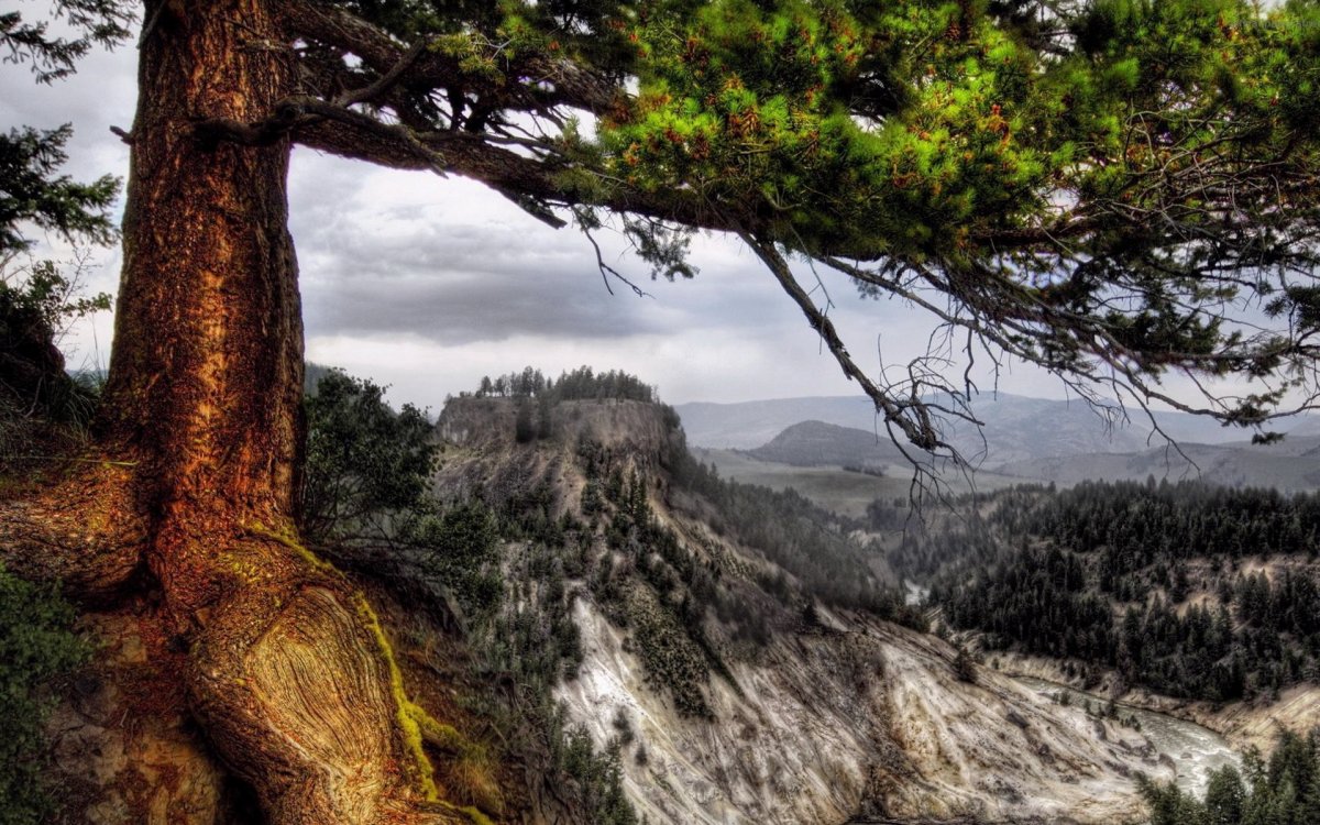 Парк природный мост Вайоминг