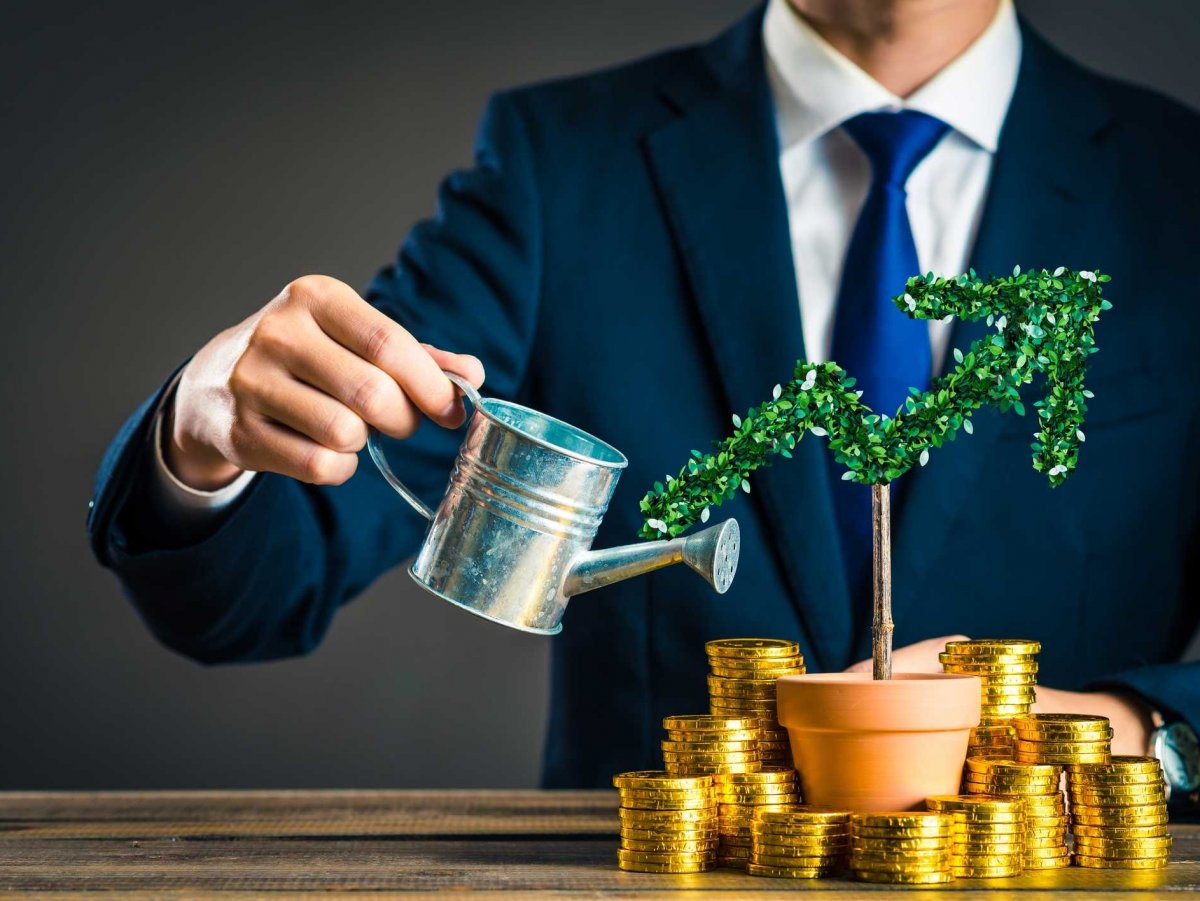 Иностранные инвесторы