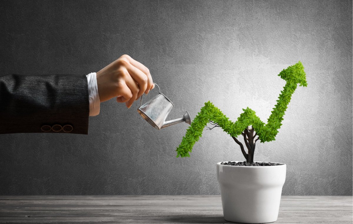 Инвестиция растений