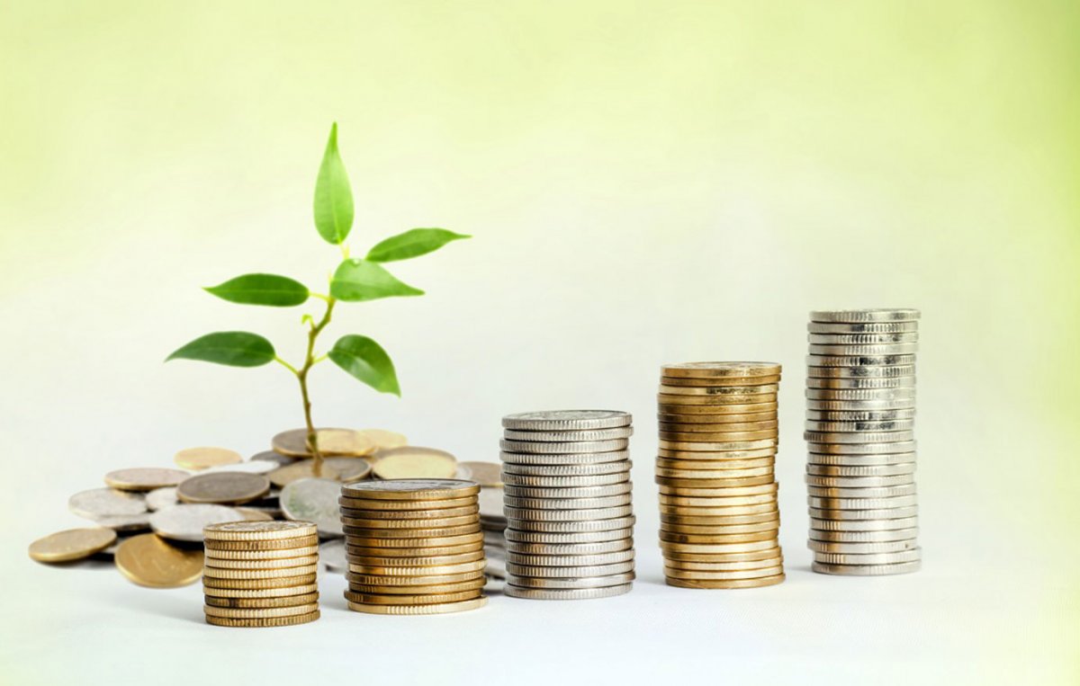 Деньги на Светлом фоне