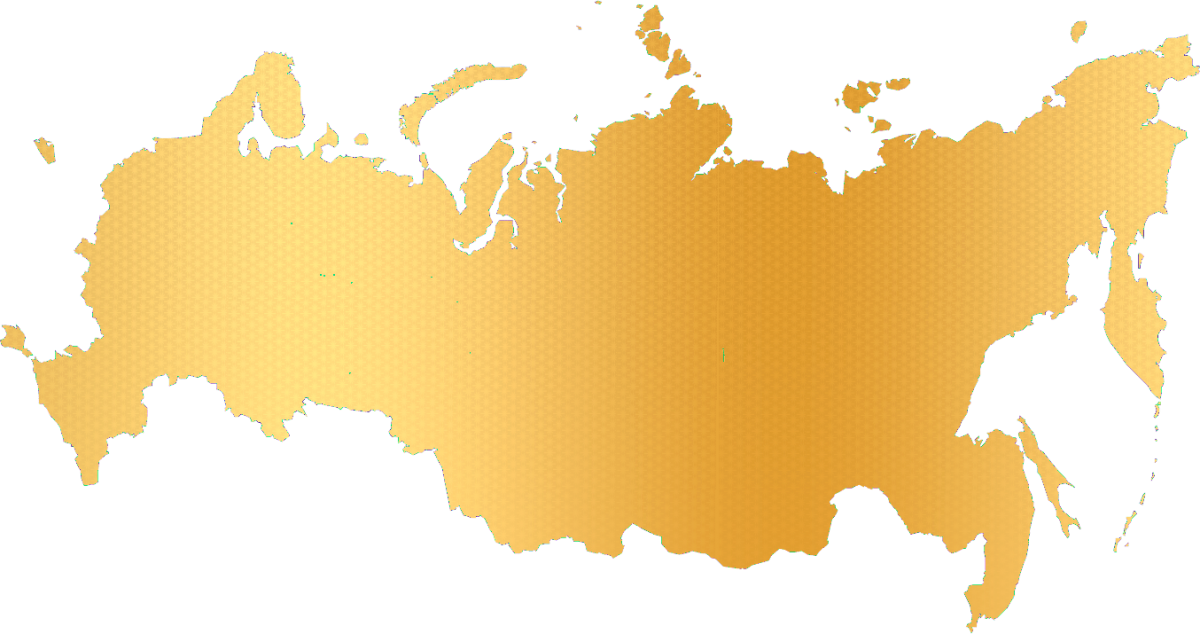 Карта России стилизованная