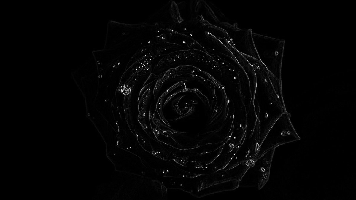 Черные обои