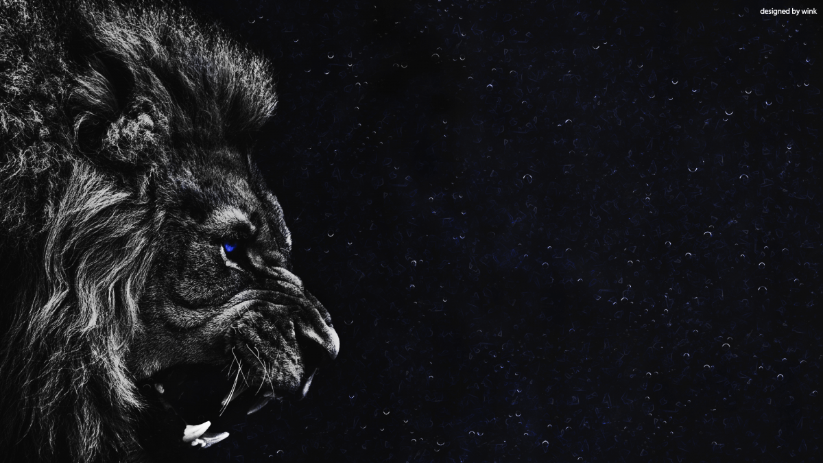 Лев на черном фоне