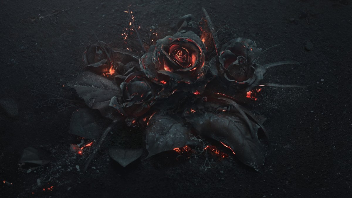 Раскаленная роза