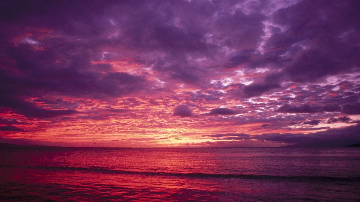 Розовый закат