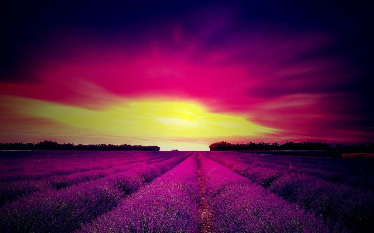 Розовый закат в поле