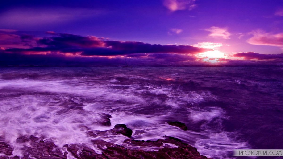 Фиолетовое море