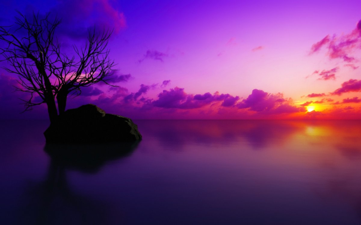 Фиолетовое море