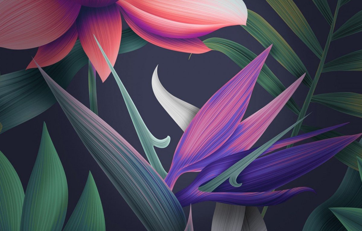 Стоковые обои