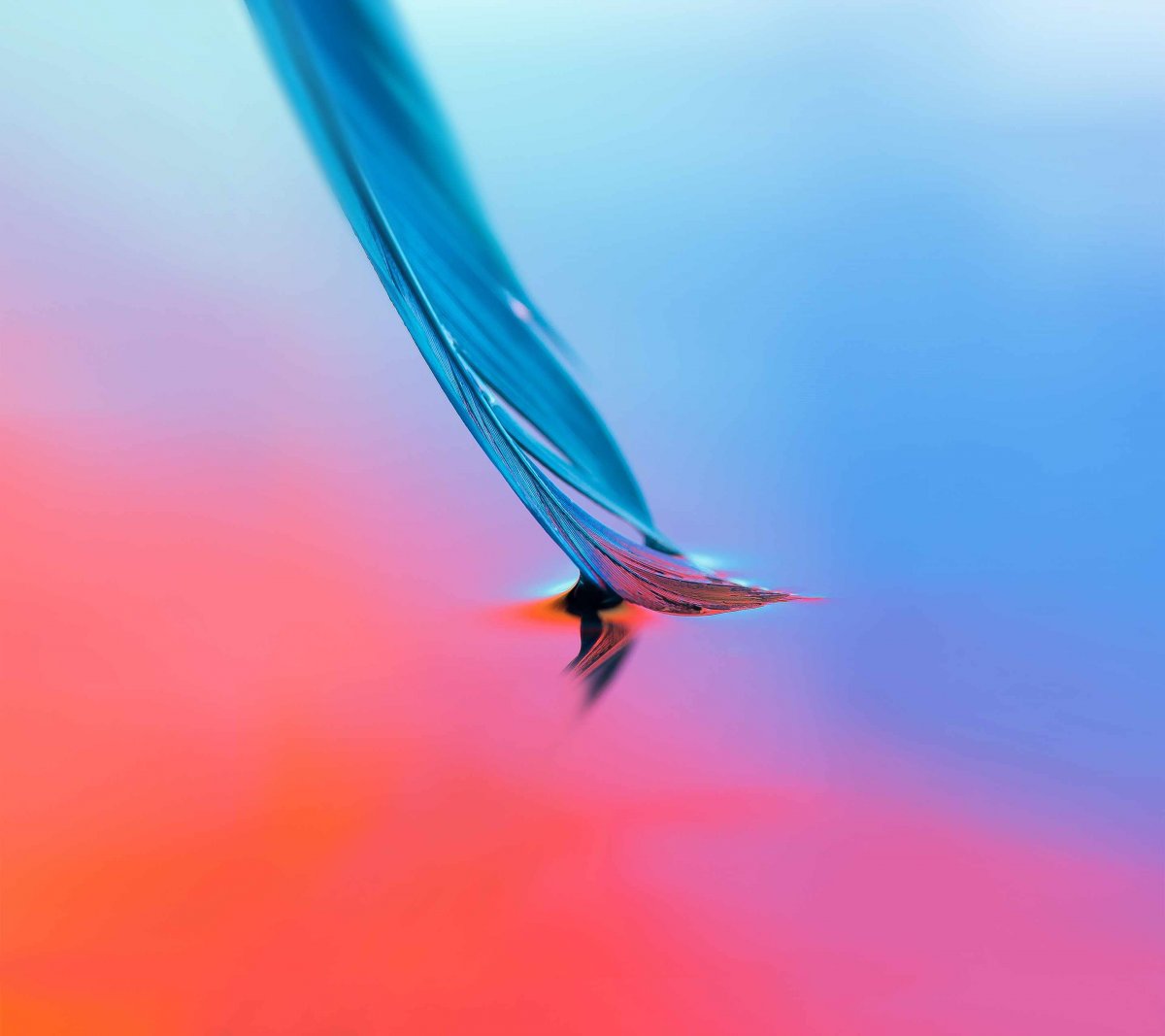 Обои на Хуавей хонор 20