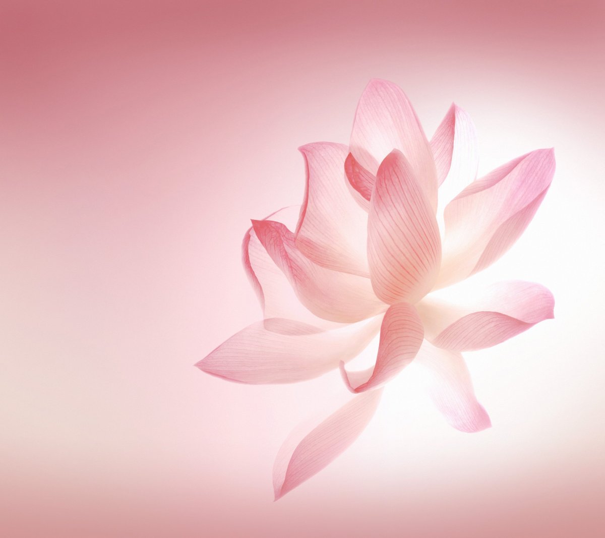 Стоковые обои Huawei