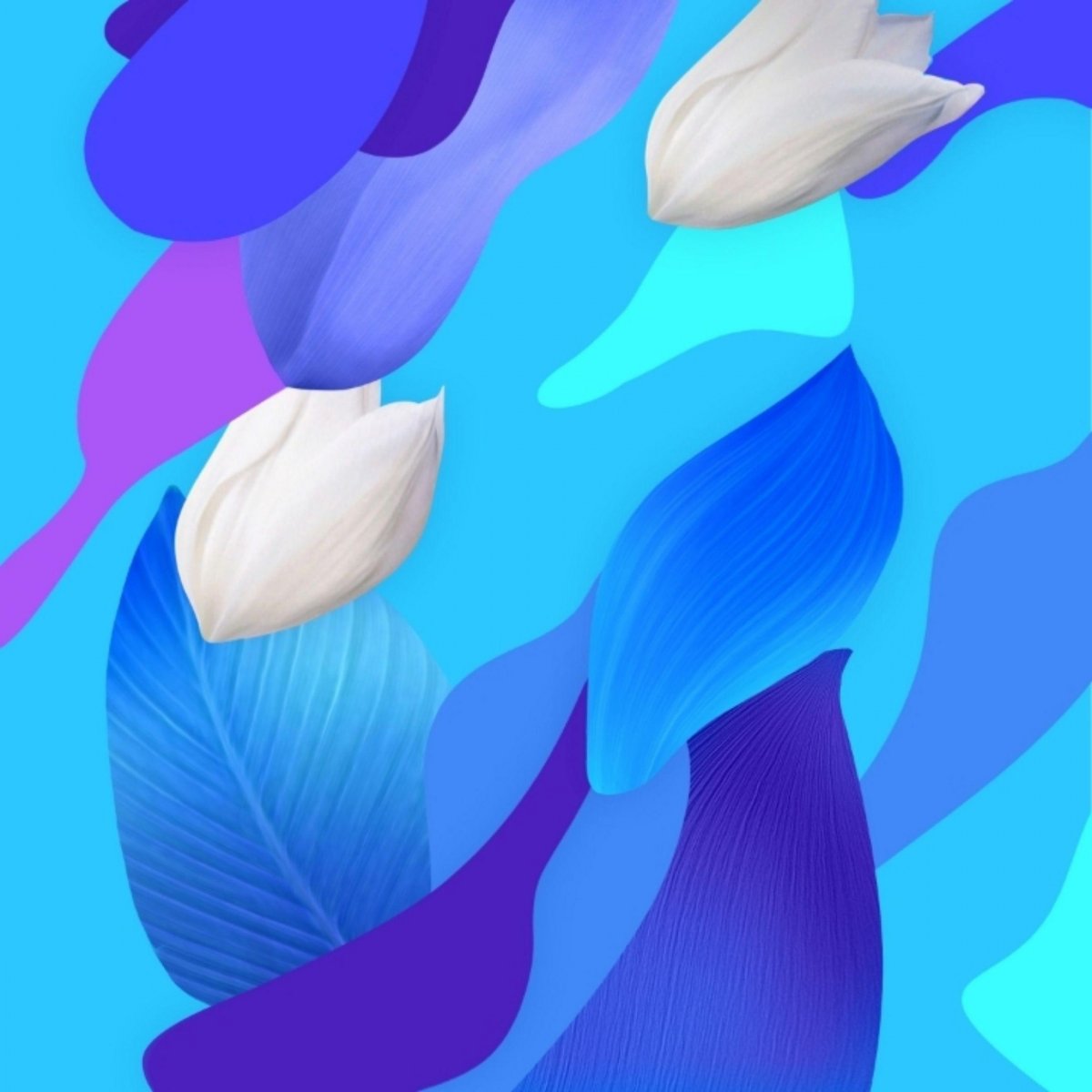 Обои Huawei MEDIAPAD