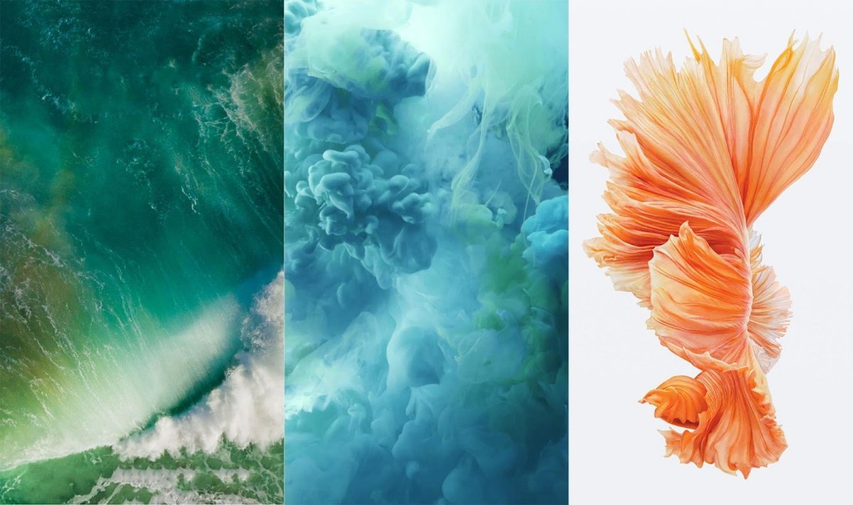 Обои Huawei Mate 10