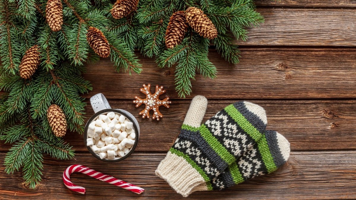 Ветка Еловая