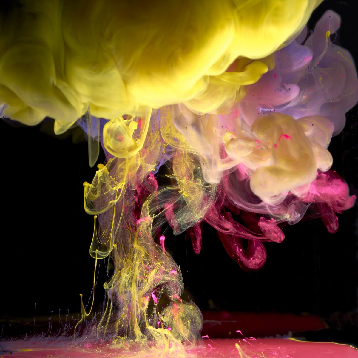 Фотограф Марк Моусон