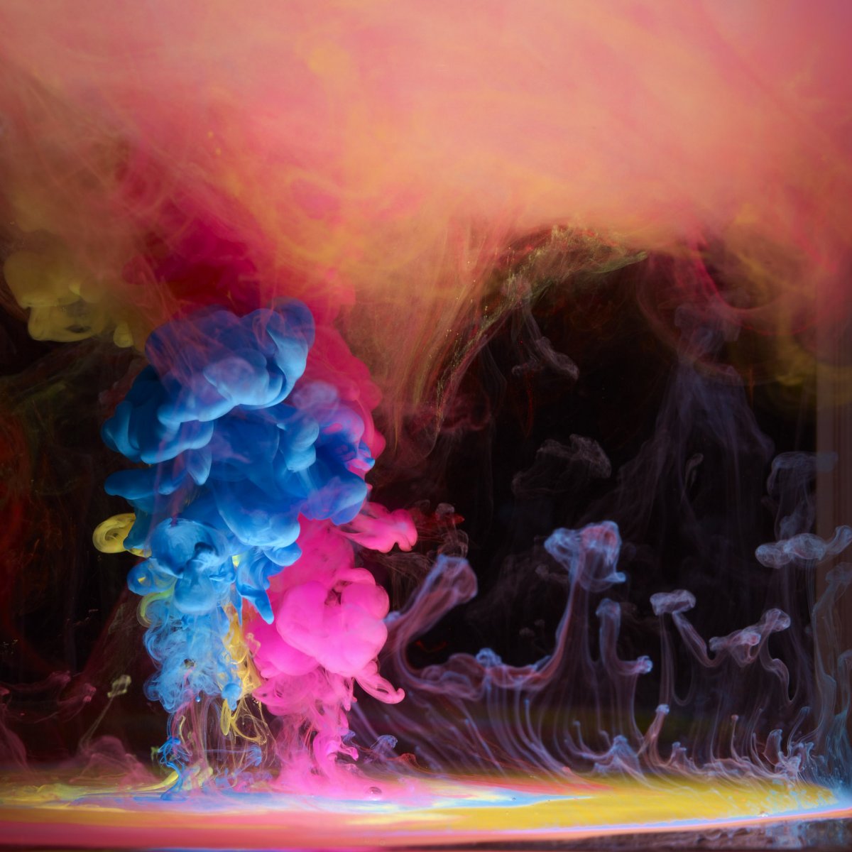 Фотографии марка Моусона