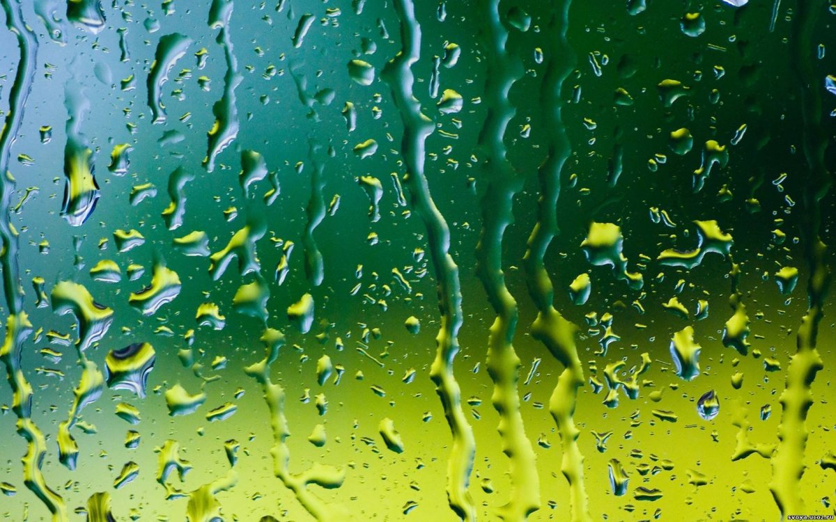 Мокрое стекло