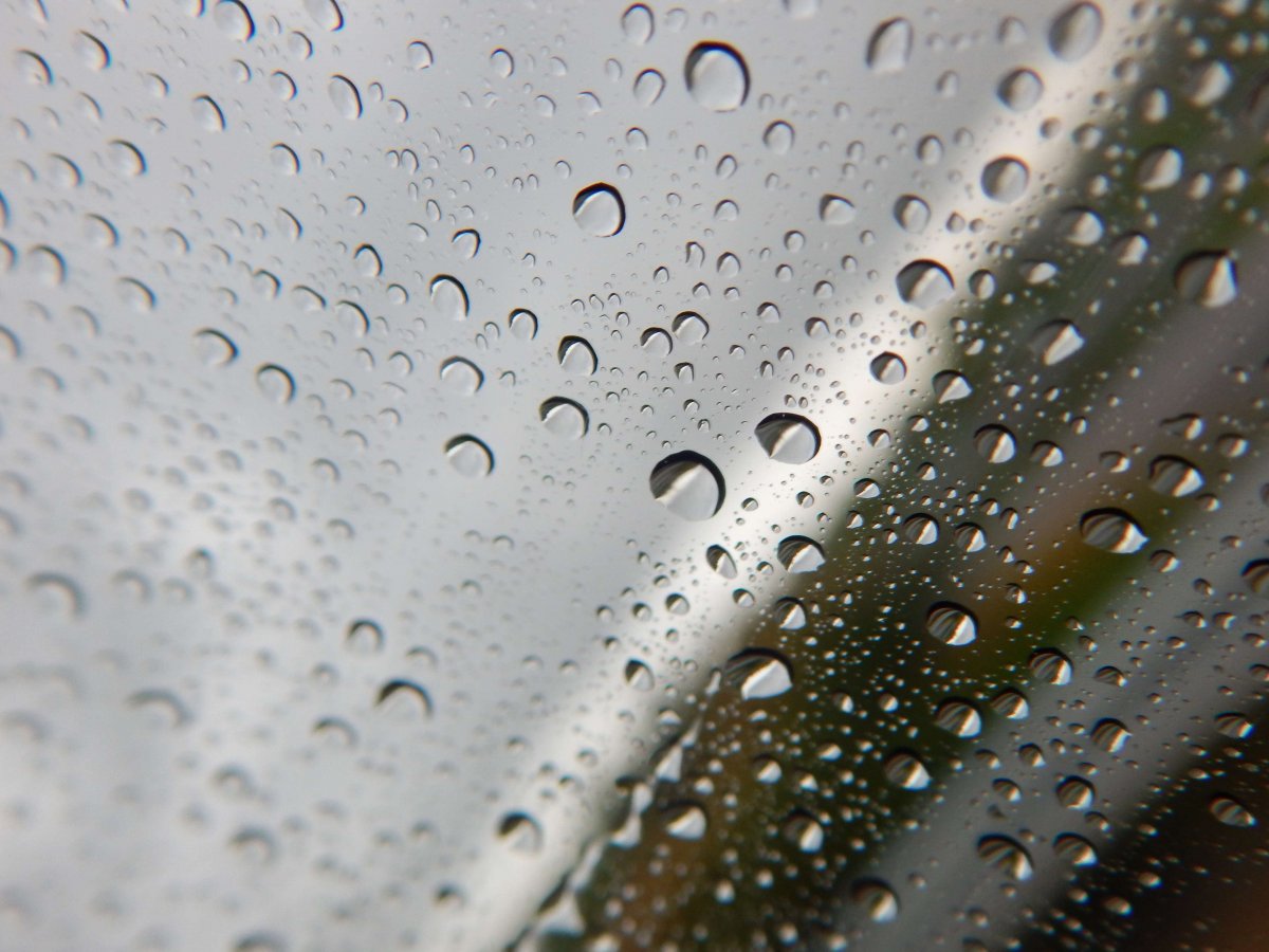 Капельки дождя картинки