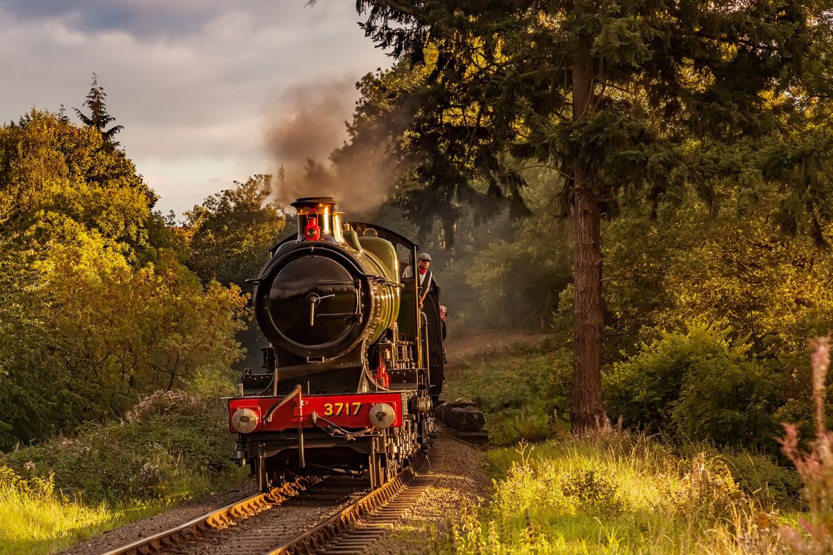 Паровоз в лесу