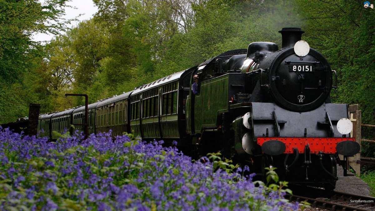 Поезд на фоне природы