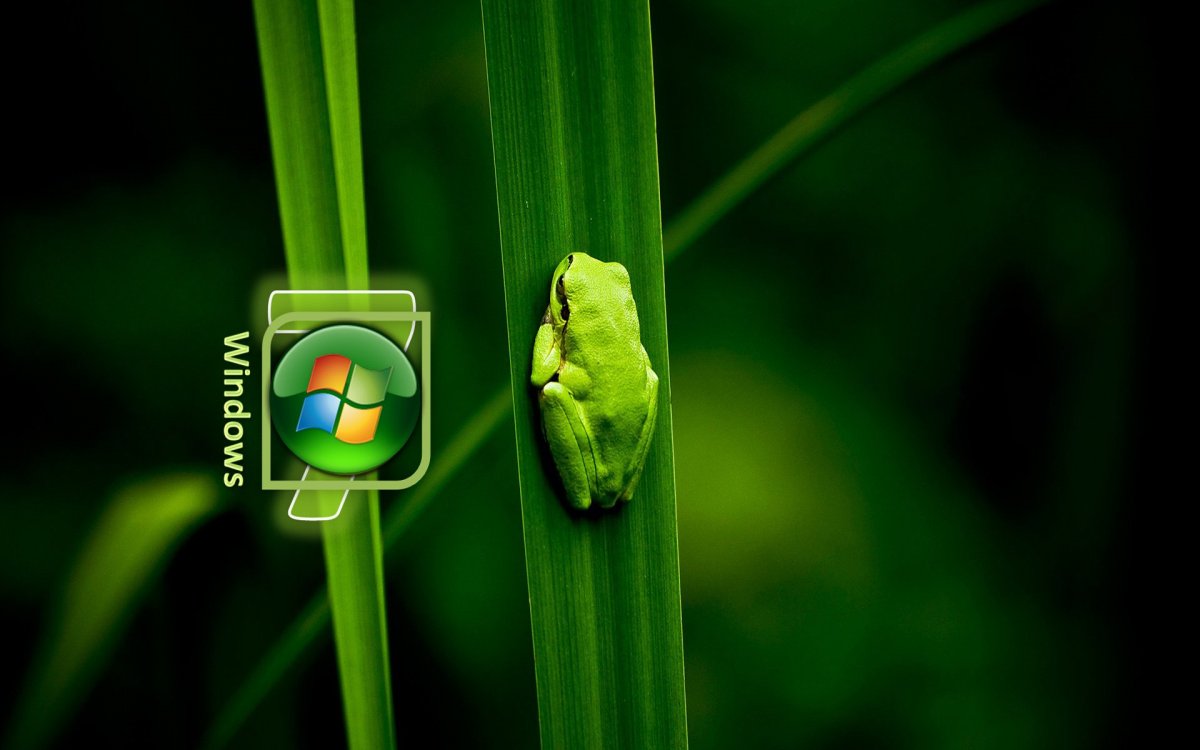 Зеленая тема виндовс