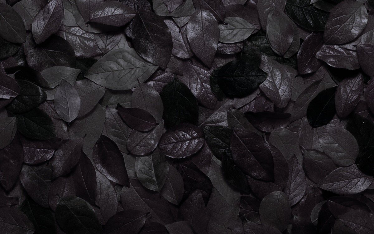 Осенние листья темные