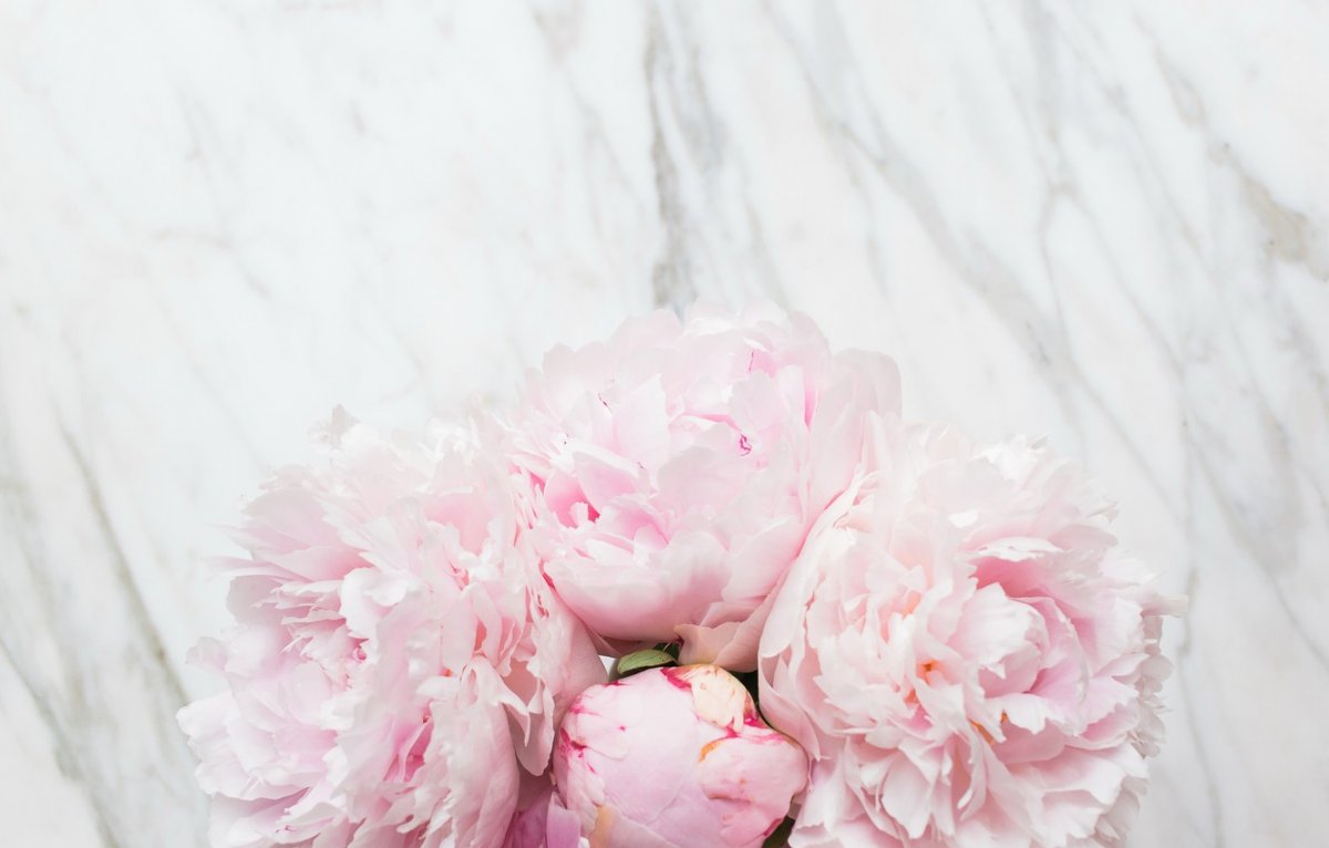 Нюдовые цветы пионы