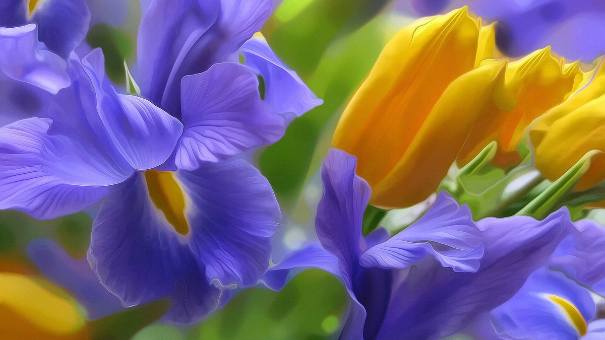 Тюльпаны вектор