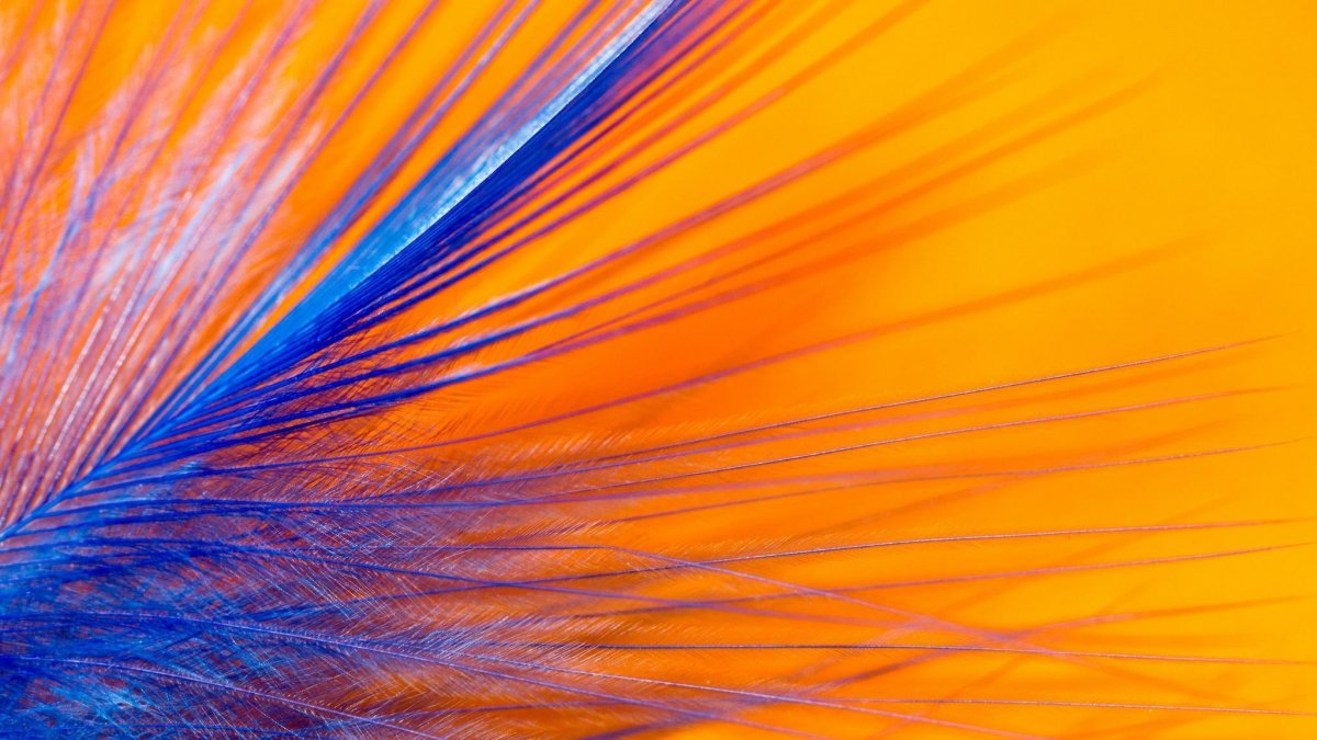 Синий и оранжевый