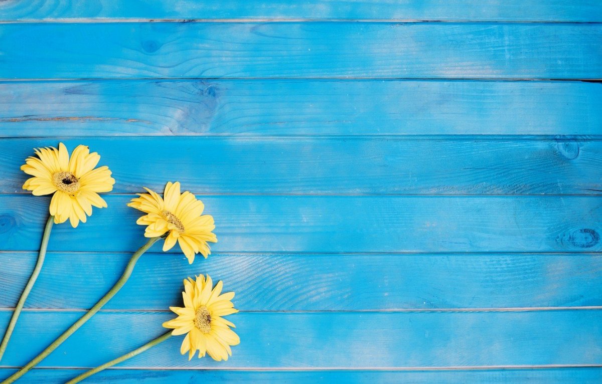 Голубой и желтый