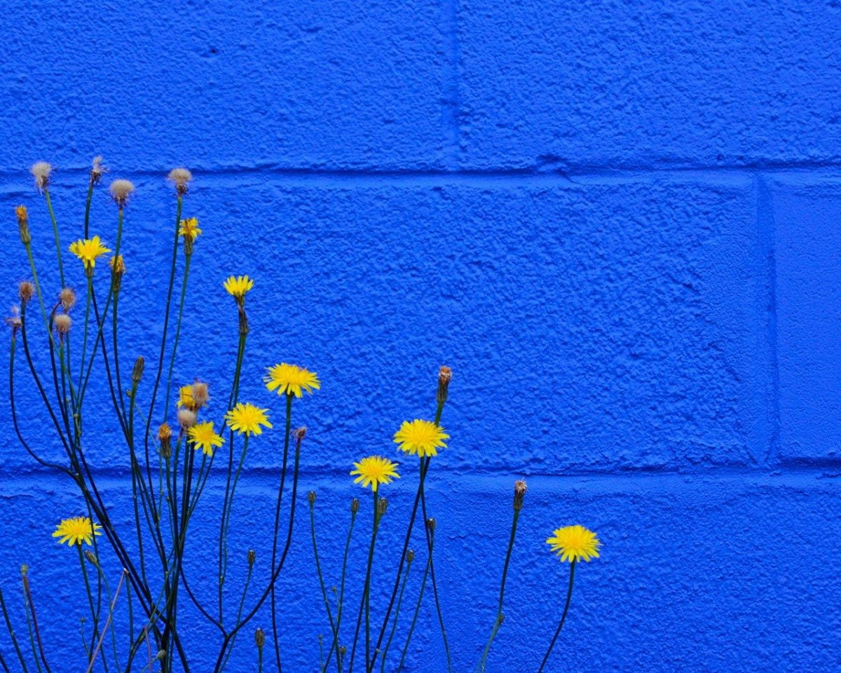 Синий и желтый