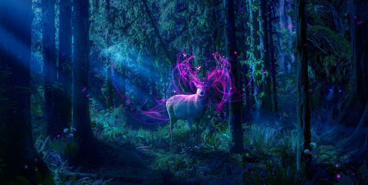 Волшебный лес обои на рабочий стол