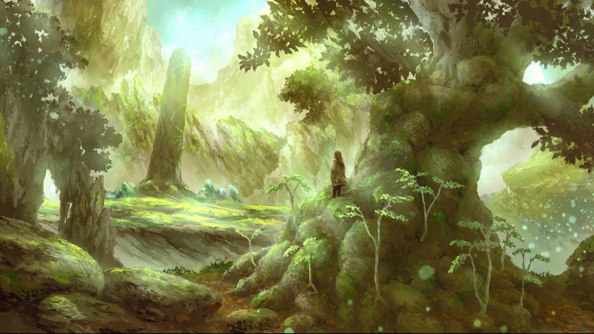 Лес ДНД 5 пейзаж