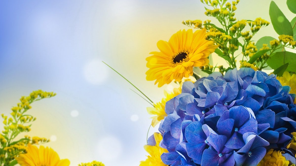 Цветы на голубом фоне