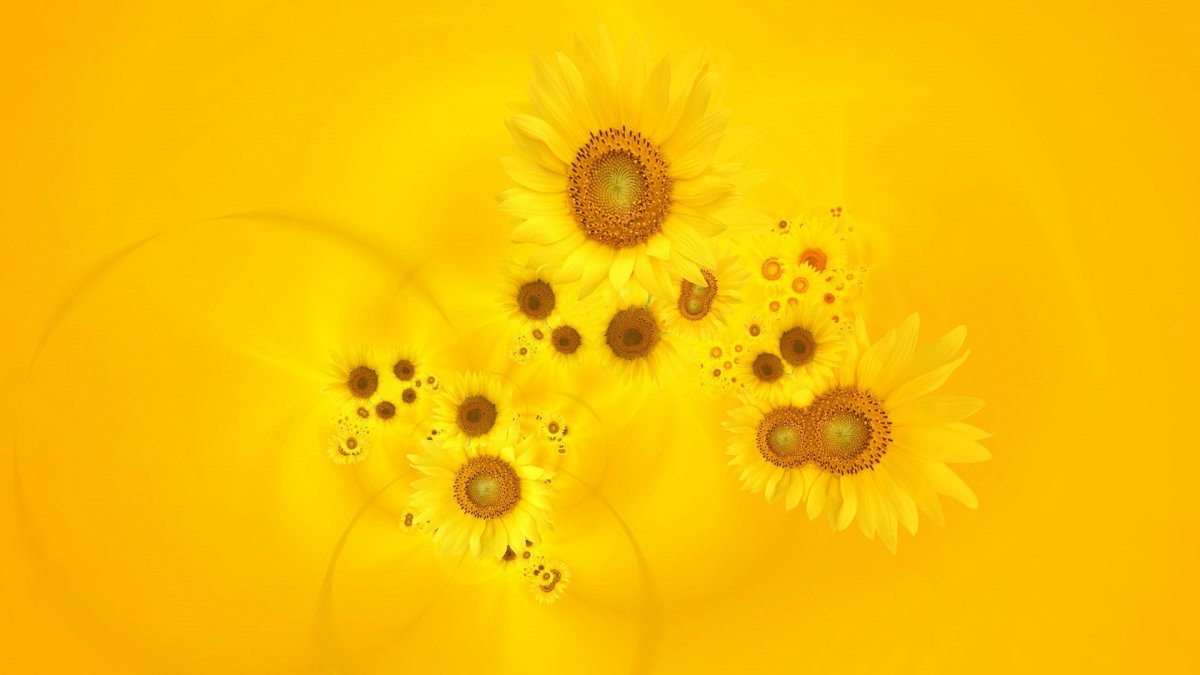 Попугай Macaw лапа