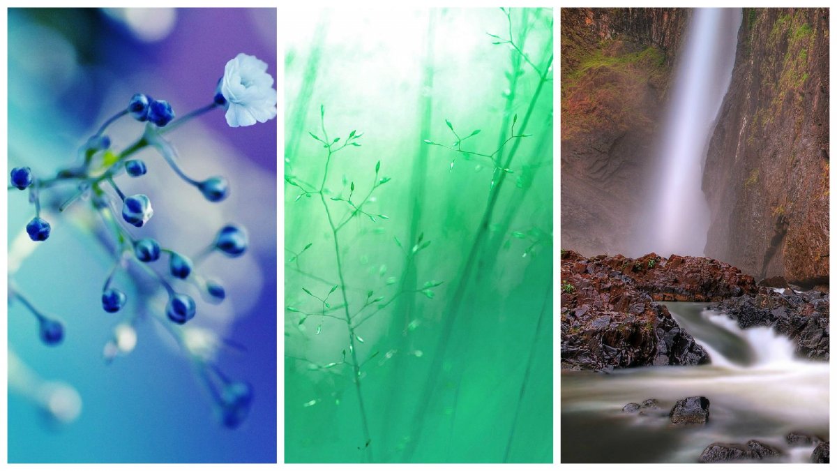 Тройные обои