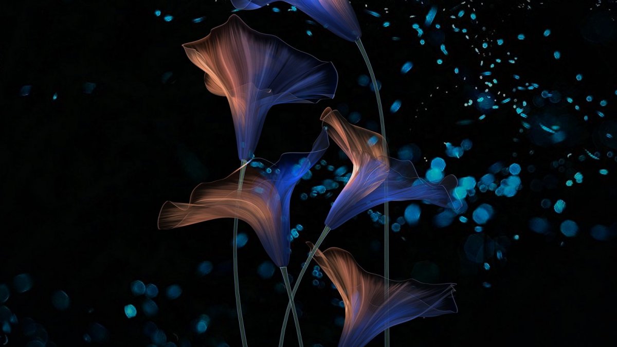 Фантастические ночные цветы 9:16