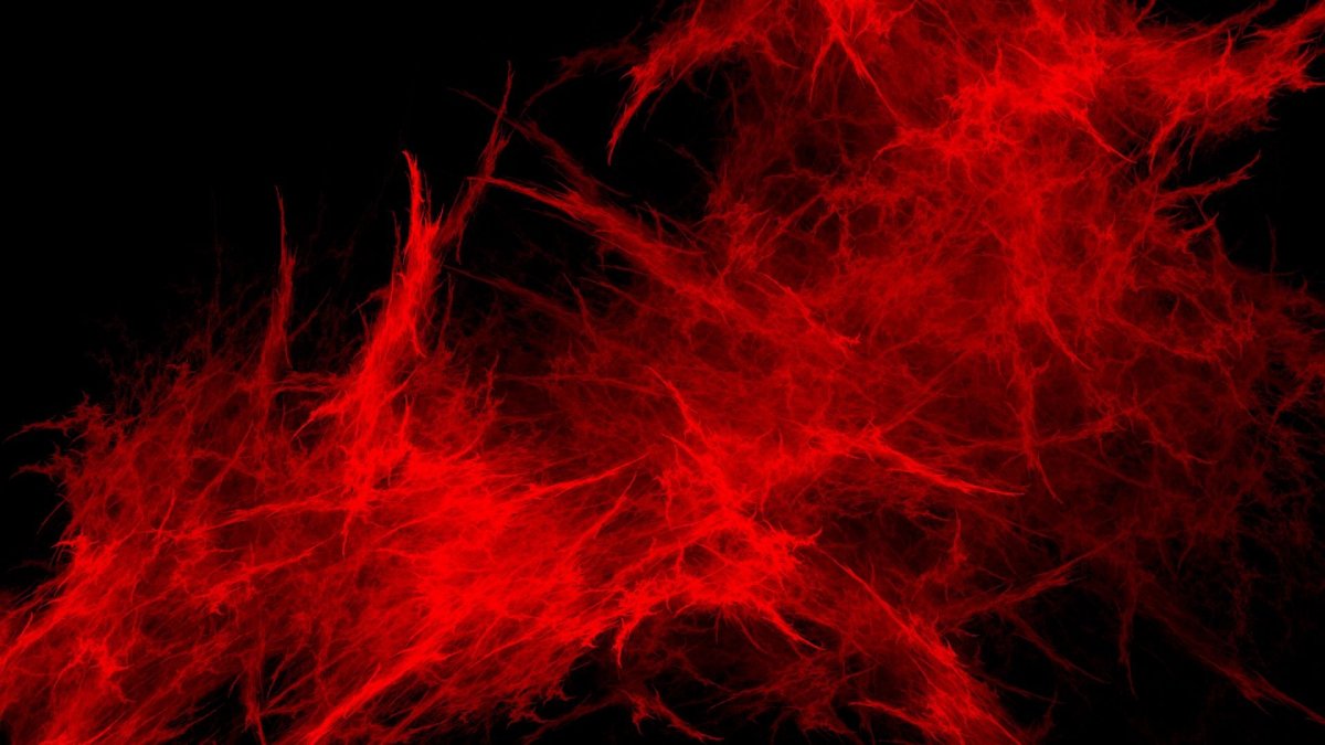 Красное и черное