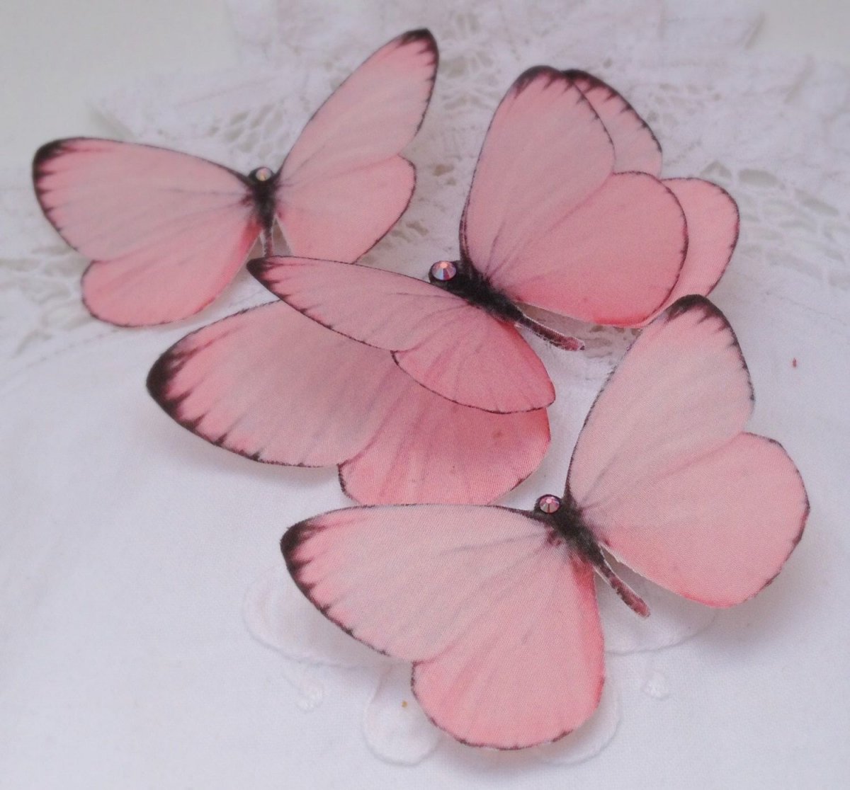 Красивые бабочки